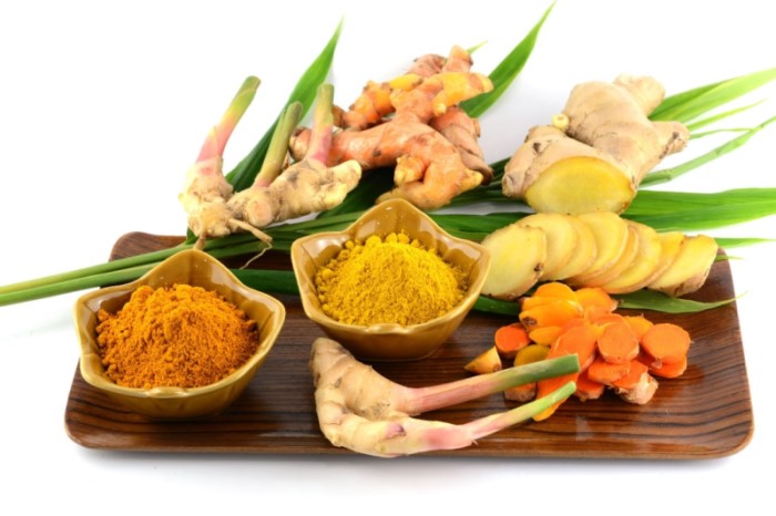 A platter displaying a variety of Chinese herbal medicines